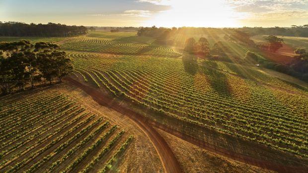 Leeuwin Estate - Image 2 Leeuwin Estate - Image 2